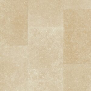 Quickstep Muse - Image 3