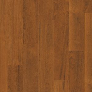 Quickstep Capture - Image 9