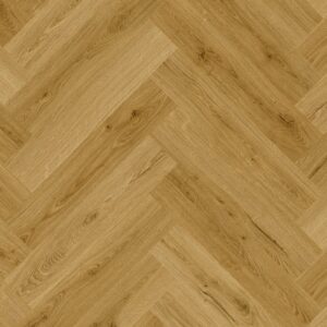 Quickstep Alpha Ciro - Image 4