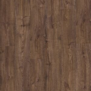 Quickstep Alpha Bloom - Image 3