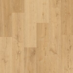 Quickstep Alpha Bloom - Image 18
